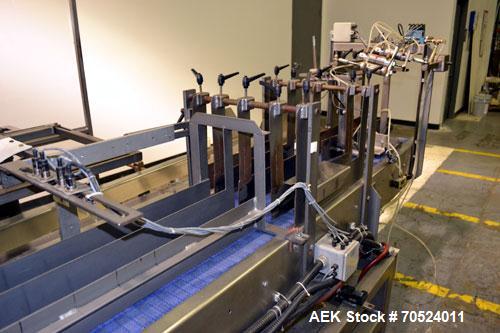 Used Wepackit Model MPM 300 Case Packer