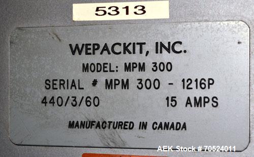 Used Wepackit Model MPM 300 Case Packer