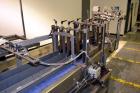 Used Wepackit Model MPM 300 Case Packer
