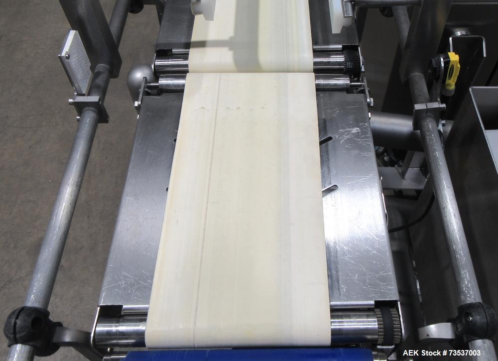 Used Thermo Scientific VersaWeigh 300 Checkweigher – Global Model for Sale