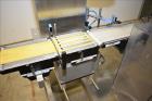 Garvens S-2 belt Checkweigher Up to 200 Grams