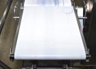Ishida DACS Model DACS-GN-SO60-34 CR-I-S Stainless Steel Checkweigher With Rejec