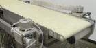 Used Loma Belt Checkweigher, Series 7000. Capable of speeds up to, weight range to 20 kg. Conveyor speed 57.8 meter per minute. 12/1/2