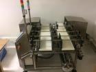 Unused- Loma Dual Lane Checkweigher, Model LCW 3000