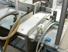 Used Mettler Toledo High Speed Checkweigher, Model TM5100-GTMM