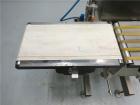 Used Mettler Toledo (Hi-Speed) Model XS-2 Checkweigher