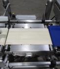 Used Thermo Scientific VersaWeigh 300 Checkweigher – Global Model for Sale