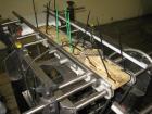 Used Ramsey Icore AC8000 Checkweigher capable