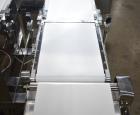 TDI Packsys Model IMC-230S Techik Combination Metal Detector and Checkweigher