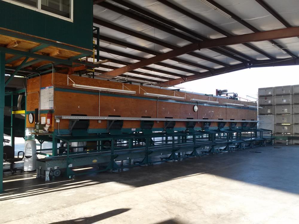 Used Complete Citrus Packing Line. Aweta- Autoline Sizer/Color Sorter. All other components manufactured by MAF Industries. Includes: Bin unstacker, bin stacker, heavy duty bin dump. (3) roller grade...