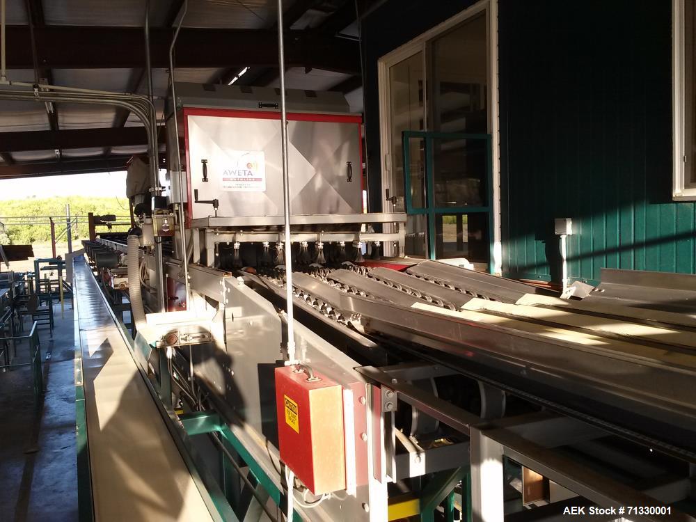Used Complete Citrus Packing Line. Aweta- Autoline Sizer/Color Sorter. All other components manufactured by MAF Industries. Includes: Bin unstacker, bin stacker, heavy duty bin dump. (3) roller grade...