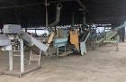 Used Onion Packing Line.