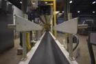 Slidell-Matic Automatic Bulk Bag Hanger and Filler, Model 3120-1425.