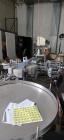 Used Capmatic Bottling Line for Nail Polish – Capper, Filler, Labeler, SS, Allen Bradley Controls