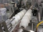 Used Serac (EPSI) Personal Care Lotion Net Weight Filling Line