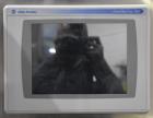 Used Capmatic Intrepid Model 4A/X-PP-222 Monoblock Filler, Plugger & Capper – 60 CPM Capacity