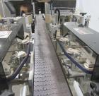 Complete Inline Bottle Filling and Packaging Line – Overflow Filler, Capper & Labeler