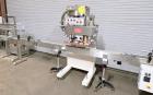 Accutek & PacMac Liquid Bottle Filling Line – Conveyor, Cap Sorter & Wrap Labeler