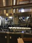 Used Complete Robino and Galandrino Wine Glass Bottle Filling Line