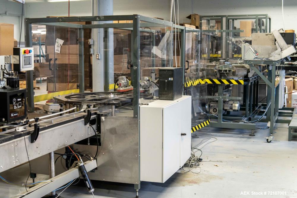 Used Semiautomatic Packing and Sorting Line