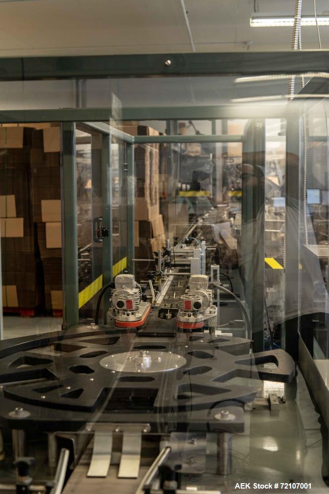Used Semiautomatic Packing and Sorting Line