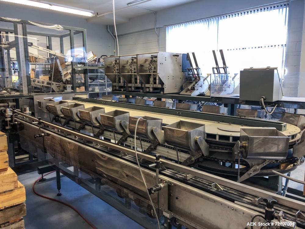Used Semiautomatic Packing and Sorting Line