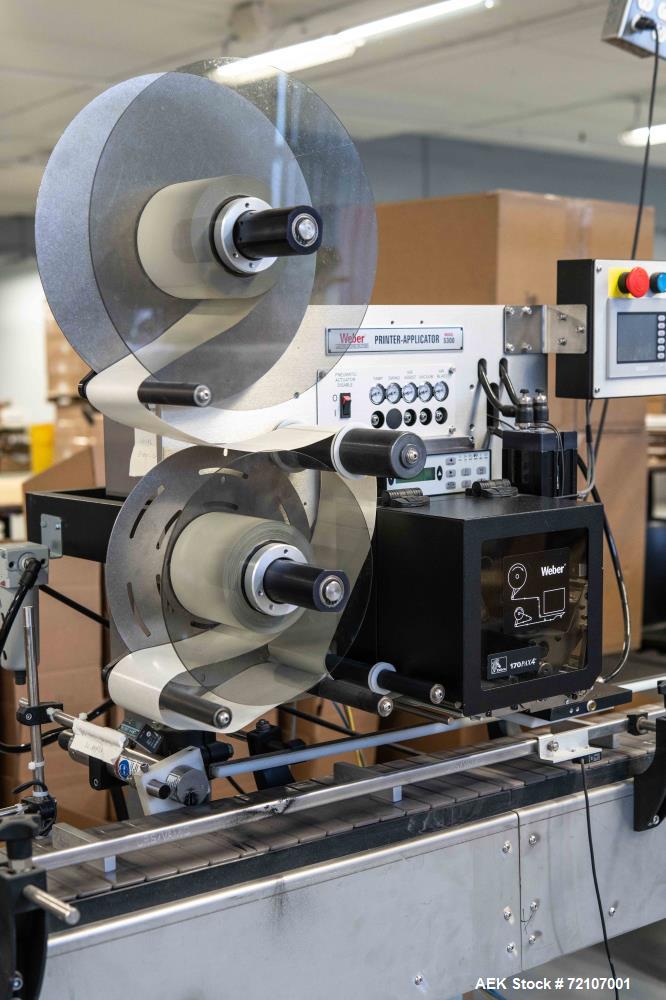Used Semiautomatic Packing and Sorting Line