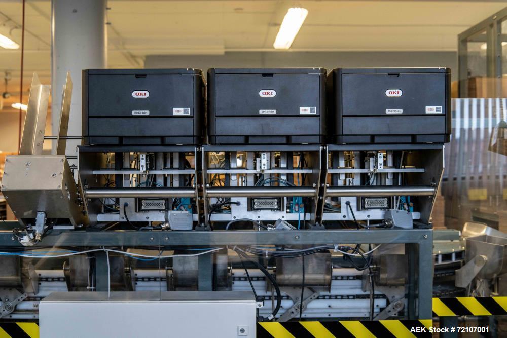 Used Semiautomatic Packing and Sorting Line