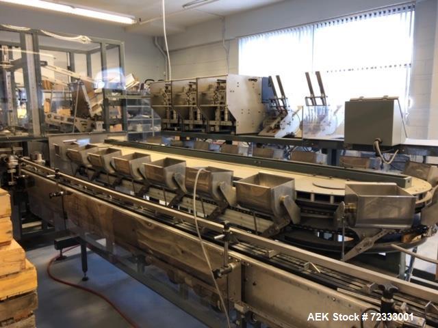 Used DCI Carton Packaging Line