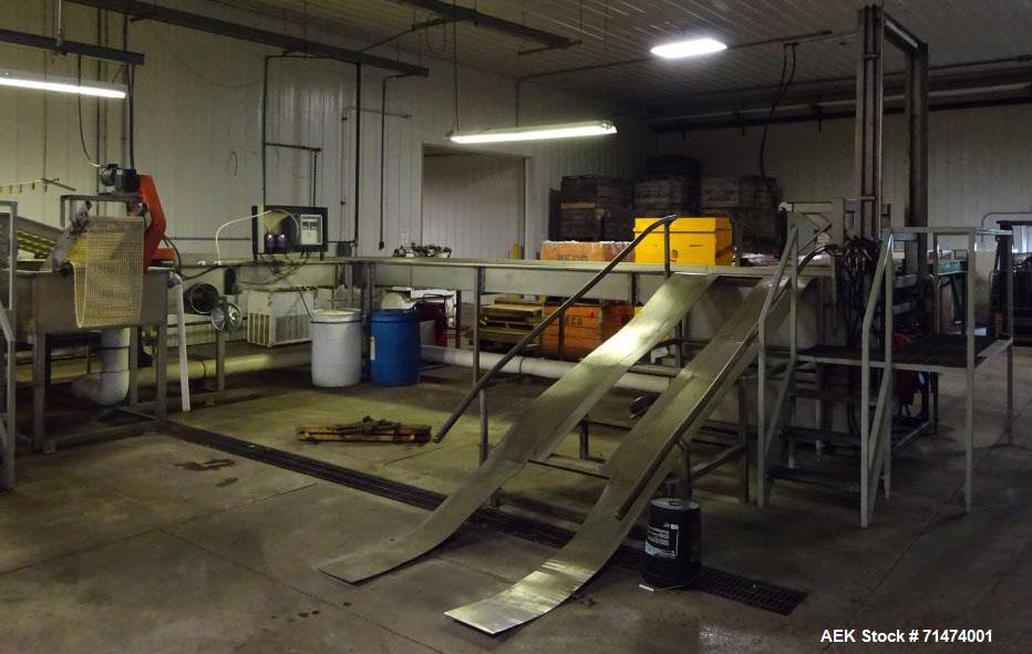 Used Durand-Wayland Fruit Sizing, Polishing and Bag Packaging Line