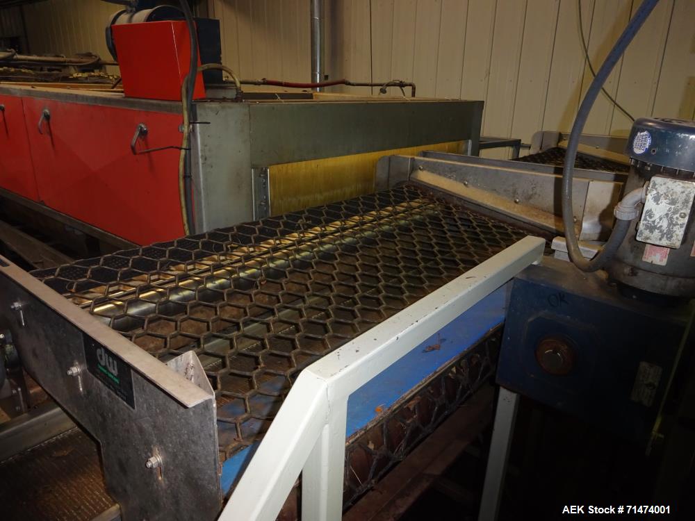 Used Durand-Wayland Fruit Sizing, Polishing and Bag Packaging Line