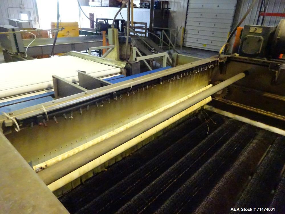 Used Durand-Wayland Fruit Sizing, Polishing and Bag Packaging Line