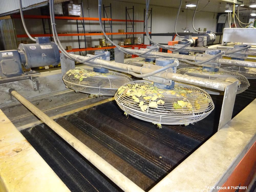Used Durand-Wayland Fruit Sizing, Polishing and Bag Packaging Line