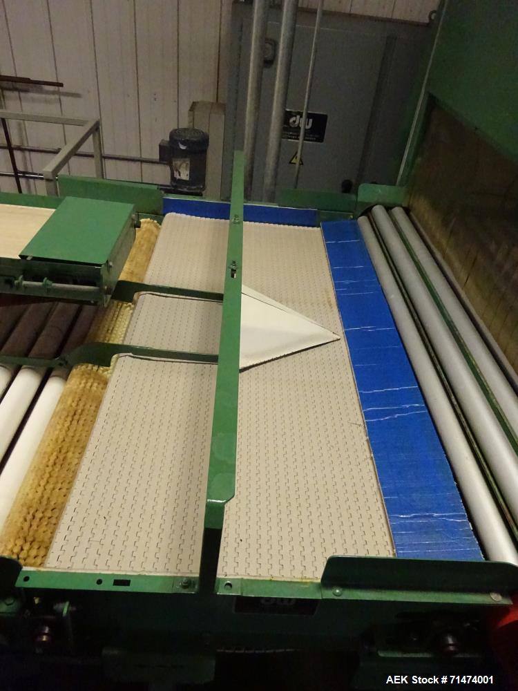 Used Durand-Wayland Fruit Sizing, Polishing and Bag Packaging Line