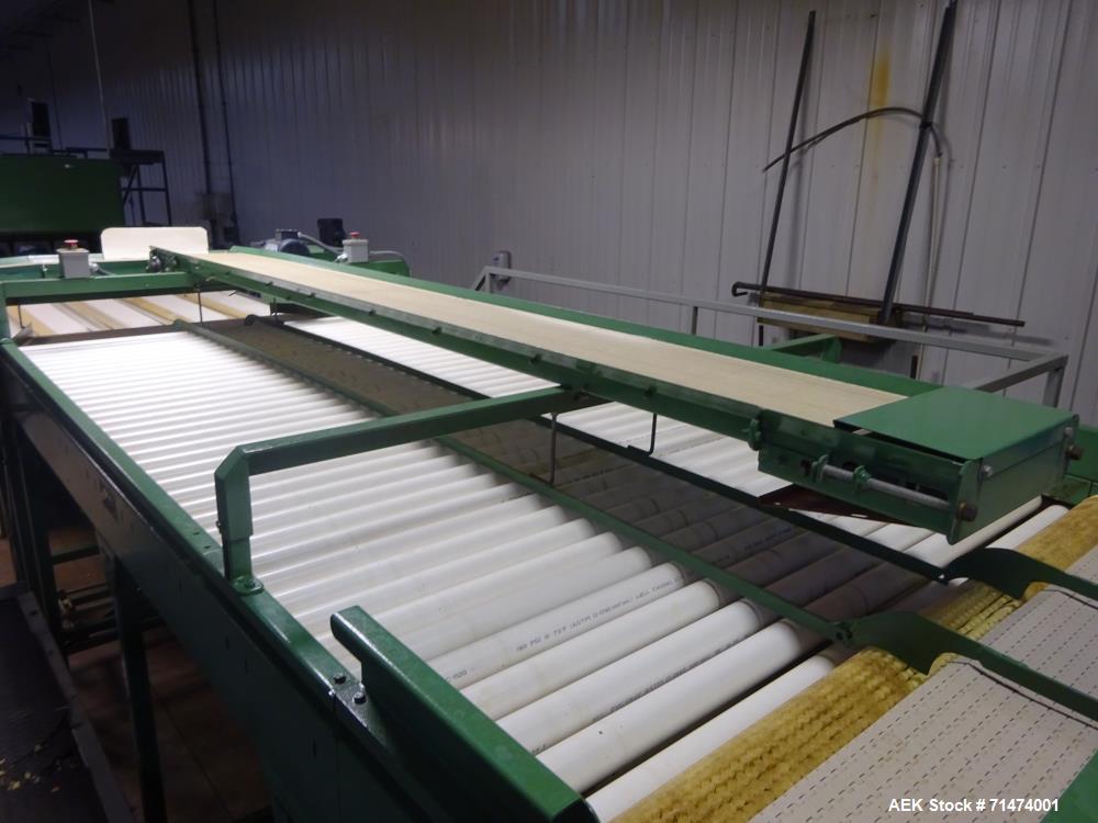 Used Durand-Wayland Fruit Sizing, Polishing and Bag Packaging Line