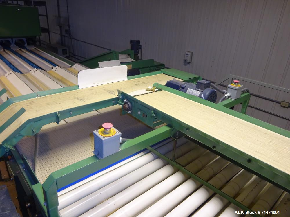 Used Durand-Wayland Fruit Sizing, Polishing and Bag Packaging Line