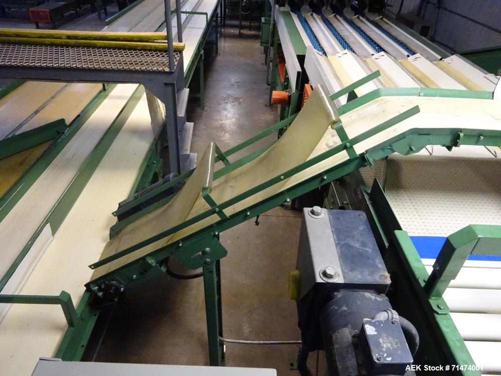 Used Durand-Wayland Fruit Sizing, Polishing and Bag Packaging Line