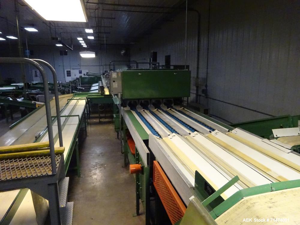 Used Durand-Wayland Fruit Sizing, Polishing and Bag Packaging Line