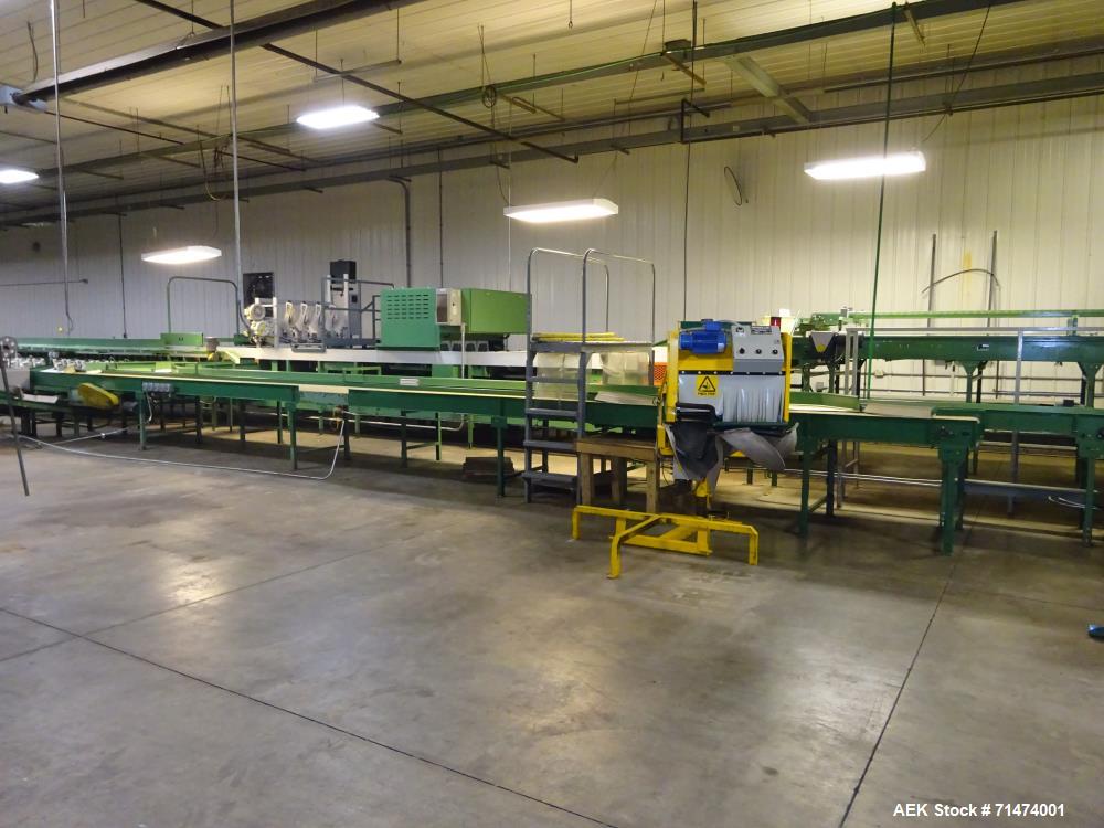 Used Durand-Wayland Fruit Sizing, Polishing and Bag Packaging Line