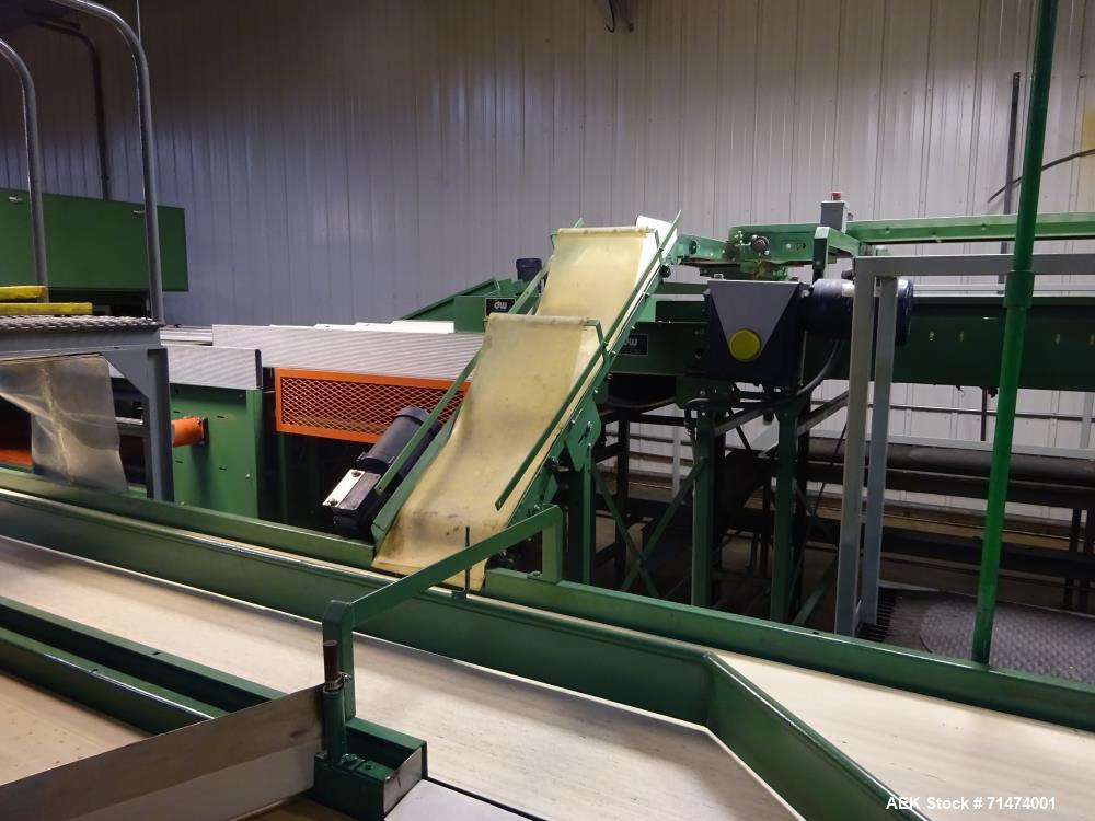 Used Durand-Wayland Fruit Sizing, Polishing and Bag Packaging Line
