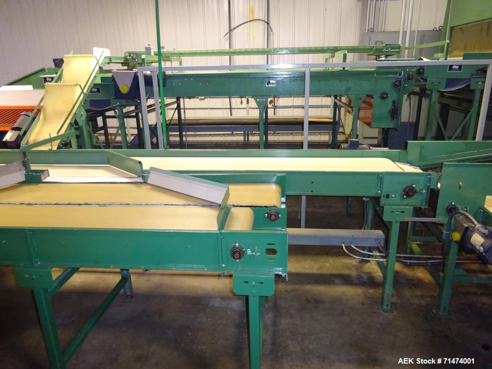 Used Durand-Wayland Fruit Sizing, Polishing and Bag Packaging Line
