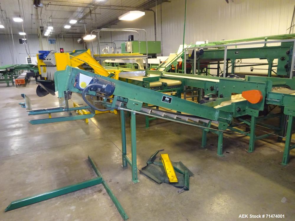 Used Durand-Wayland Fruit Sizing, Polishing and Bag Packaging Line
