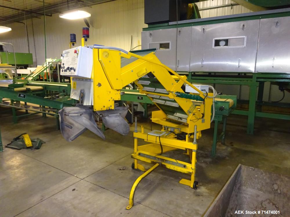 Used Durand-Wayland Fruit Sizing, Polishing and Bag Packaging Line