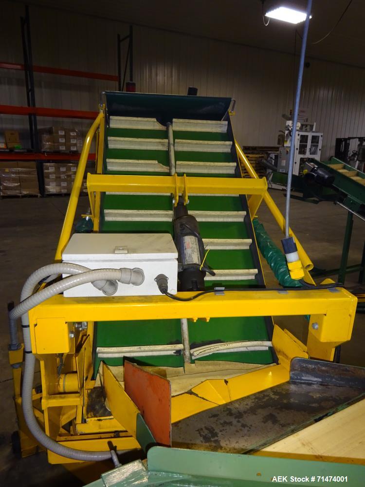 Used Durand-Wayland Fruit Sizing, Polishing and Bag Packaging Line