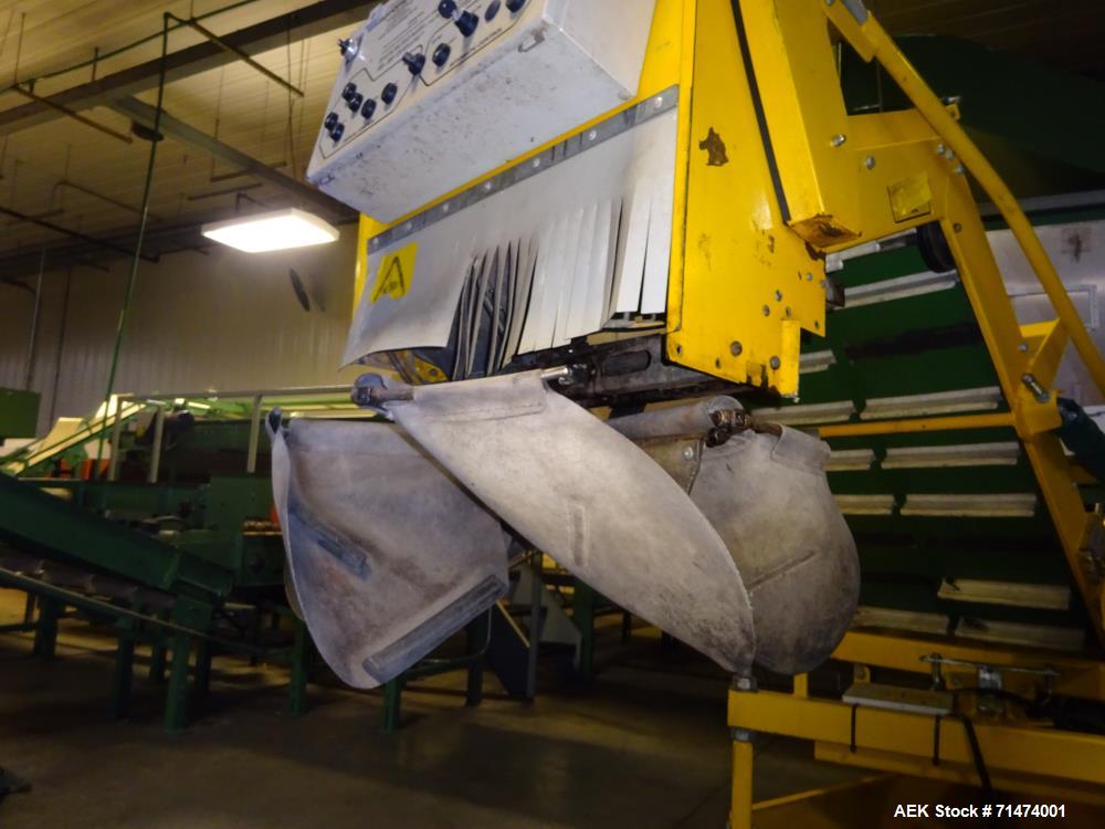 Used Durand-Wayland Fruit Sizing, Polishing and Bag Packaging Line