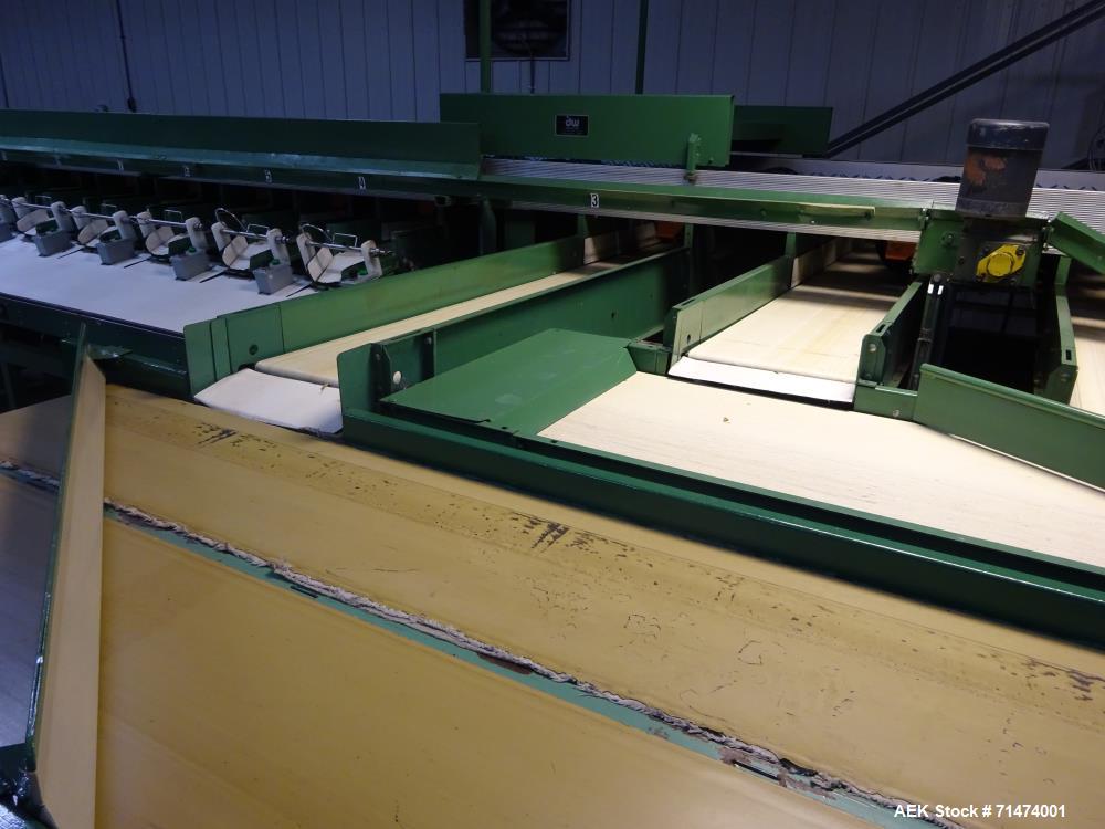 Used Durand-Wayland Fruit Sizing, Polishing and Bag Packaging Line