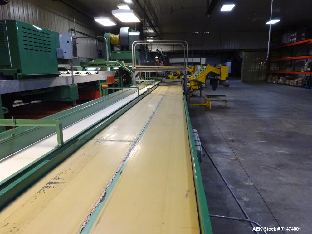 Used Durand-Wayland Fruit Sizing, Polishing and Bag Packaging Line