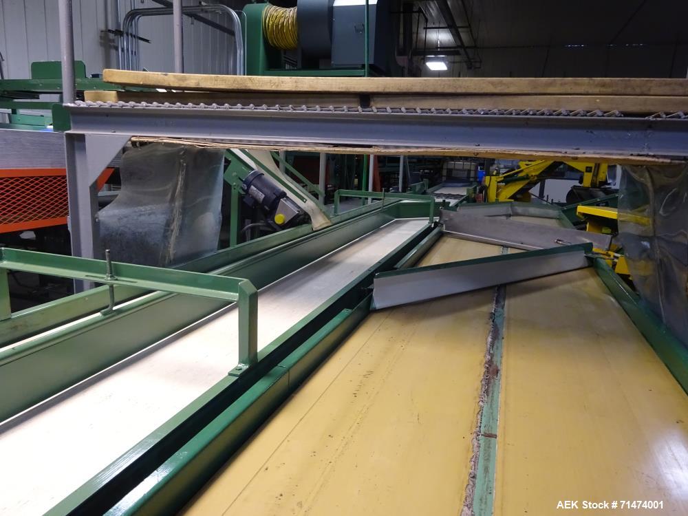 Used Durand-Wayland Fruit Sizing, Polishing and Bag Packaging Line