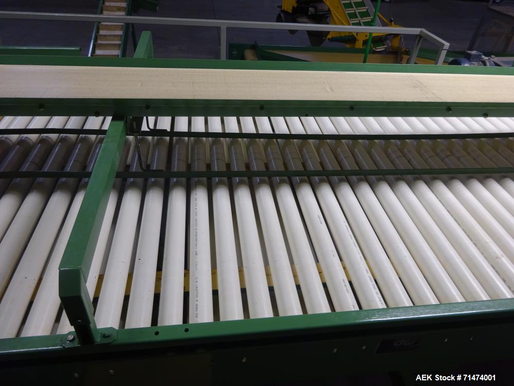 Used Durand-Wayland Fruit Sizing, Polishing and Bag Packaging Line
