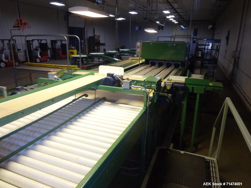 Used Durand-Wayland Fruit Sizing, Polishing and Bag Packaging Line